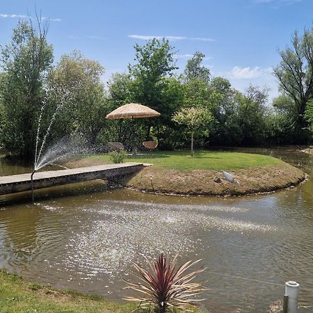 Maison De Campagne Soings-en-Sologne Exteriör bild