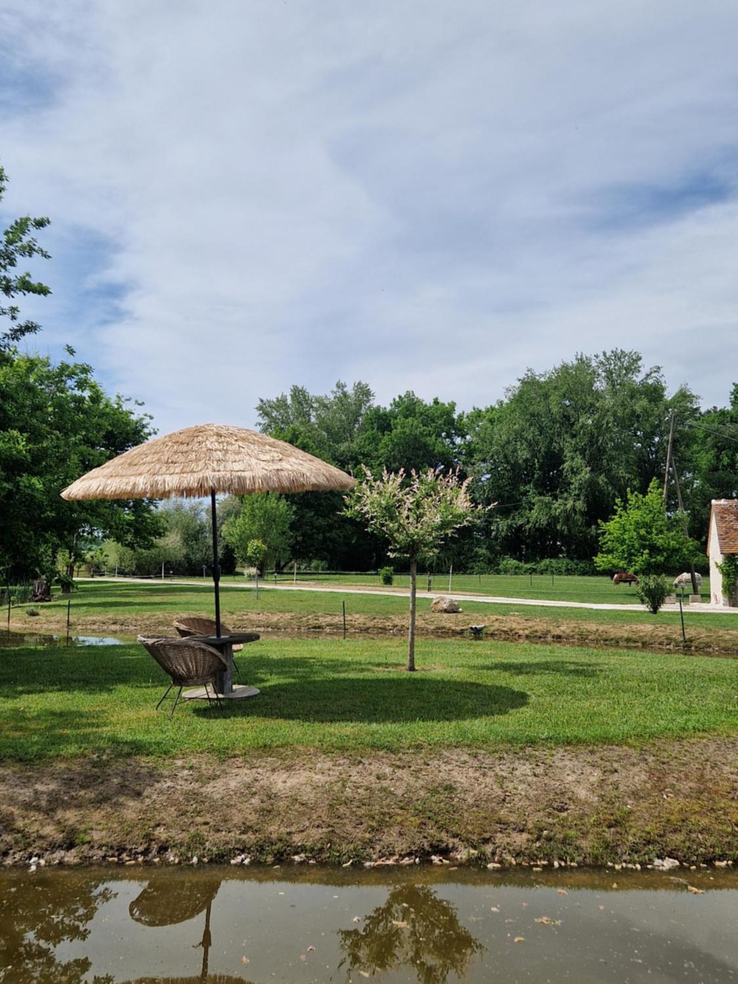 Maison De Campagne Soings-en-Sologne Exteriör bild
