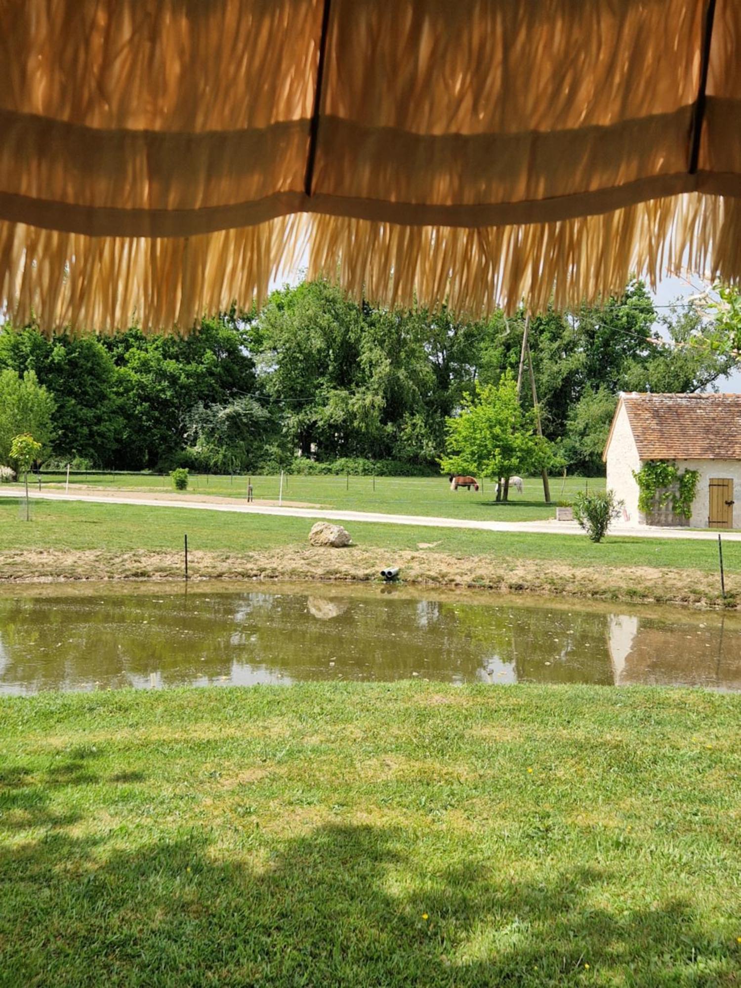 Maison De Campagne Soings-en-Sologne Exteriör bild